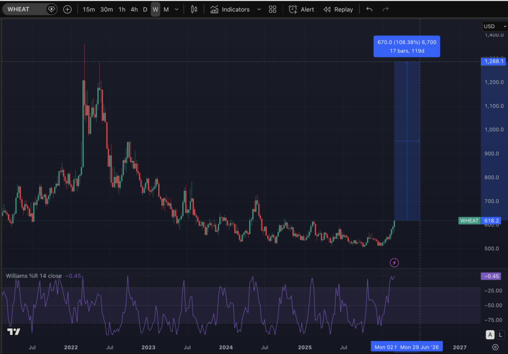 Screenshot 2026 03 08 at 00.11.36